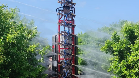 inpage community enrichment planting trees