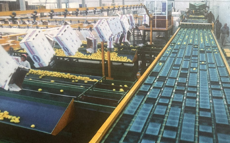 inpage community enrichment planting trees