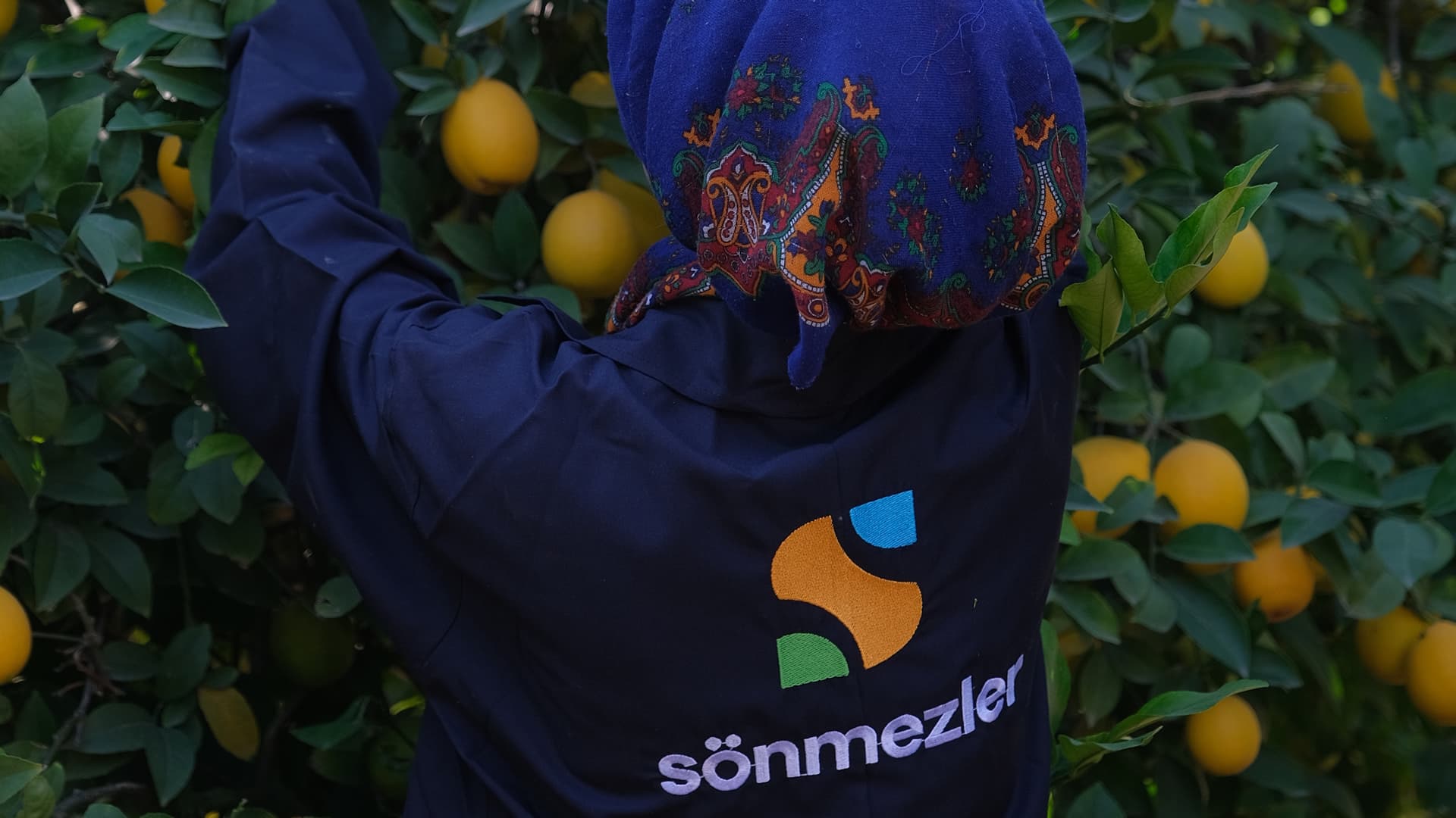 Sönmezler bahçesi 3